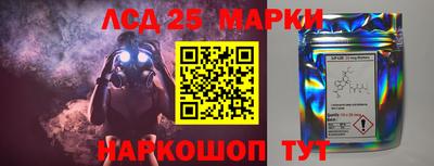 спайс Гагарин
